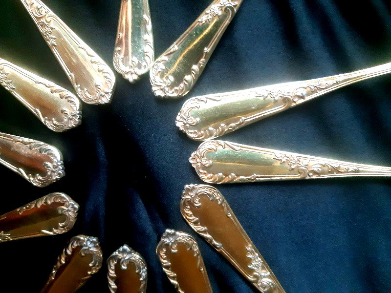 Ravinet d'Enfert Ravishing Suite Of 12 Coffee Or Tea Spoons In Vermeil Decor Naturalist Century 19th-photo-3