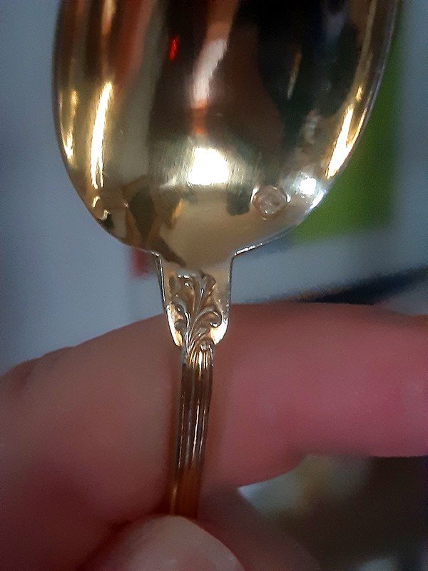 Ravinet d'Enfert Ravishing Suite Of 12 Coffee Or Tea Spoons In Vermeil Decor Naturalist Century 19th-photo-4