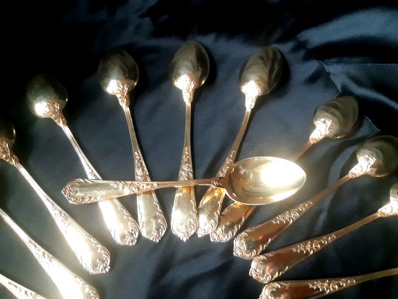Ravinet d'Enfert Ravishing Suite Of 12 Coffee Or Tea Spoons In Vermeil Decor Naturalist Century 19th-photo-5