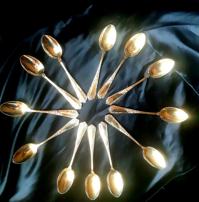 Ravinet d'Enfert Ravishing Suite Of 12 Coffee Or Tea Spoons In Vermeil Decor Naturalist Century 19th