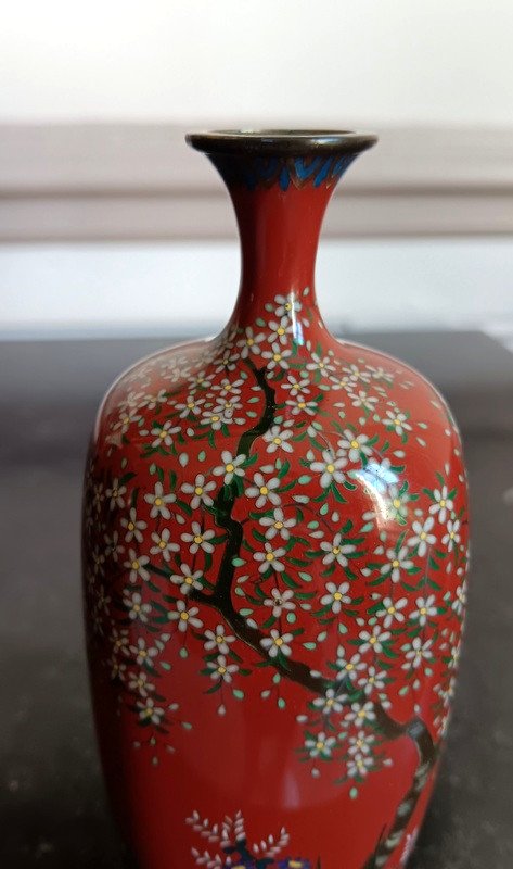 Superbe Vase En émaux Cloisonnés Argent Signé Japon Epoque Meiji (1868-1912)-photo-6