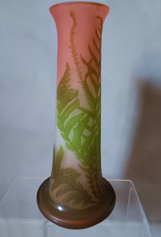Art Nouveau Gallé Vase With Ferns-photo-3