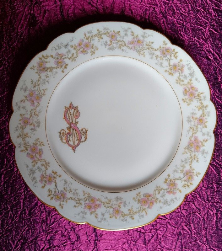 Splendid Suite Of 6 Flat Plates 24 Cm In Vierzon Limoges Art Nouveau Hache Porcelain Flowers-photo-3