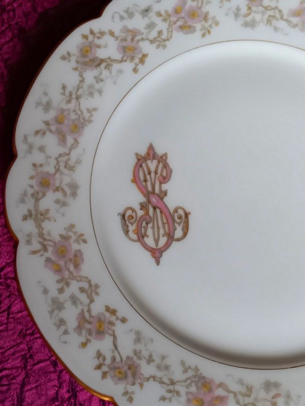 Splendid Suite Of 6 Flat Plates 24 Cm In Vierzon Limoges Art Nouveau Hache Porcelain Flowers-photo-4