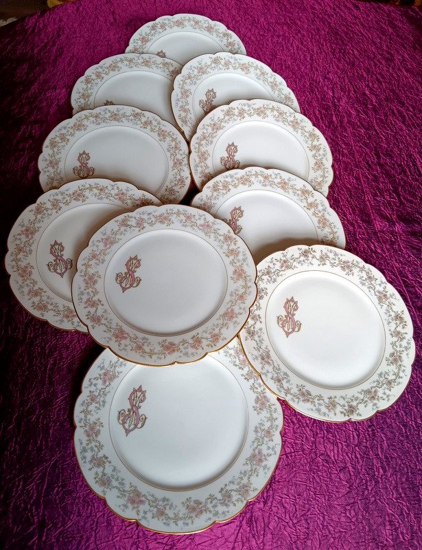 Splendid Suite Of 6 Flat Plates 24 Cm In Vierzon Limoges Art Nouveau Hache Porcelain Flowers