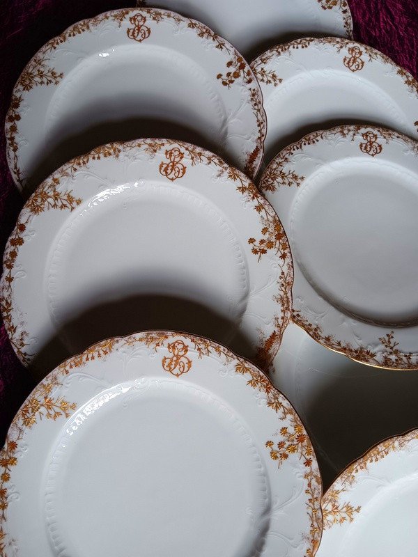 Beautiful Suite Of 8 Dinner Plates 24.5 Cm In Pirkenhammer Carlsbad Karlsbad Fischer & Mieg Porcelain Bohême Boheme Style Limoges Art Nouveau-photo-3