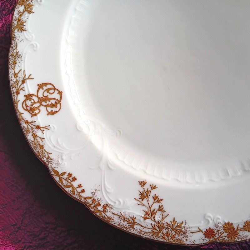 Beautiful Suite Of 8 Dinner Plates 24.5 Cm In Pirkenhammer Carlsbad Karlsbad Fischer & Mieg Porcelain Bohême Boheme Style Limoges Art Nouveau-photo-4