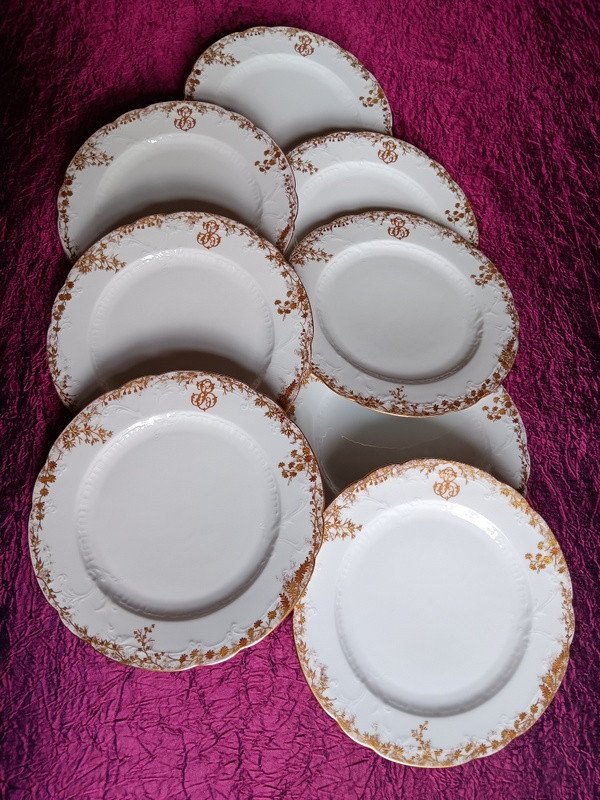 Beautiful Suite Of 8 Dinner Plates 24.5 Cm In Pirkenhammer Carlsbad Karlsbad Fischer & Mieg Porcelain Bohême Boheme Style Limoges Art Nouveau