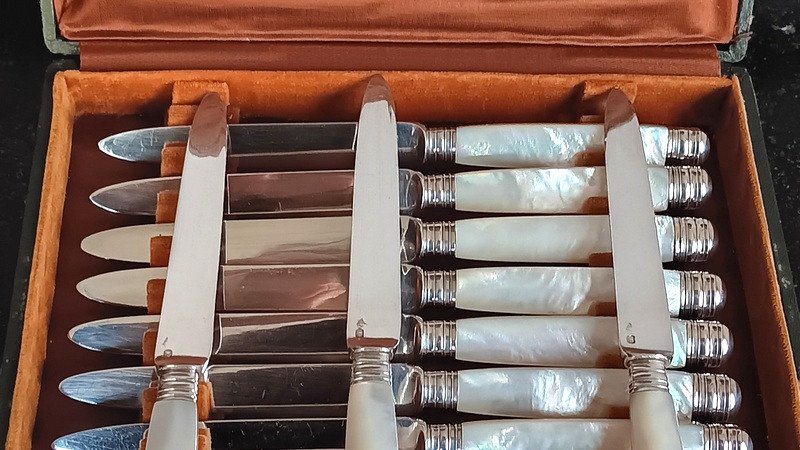 Alphonse Debain Goldsmith In Paris Suite Of 11 Fruit, Dessert, Dessert Knives Sterling Silver And Mother-of-pearl-photo-4