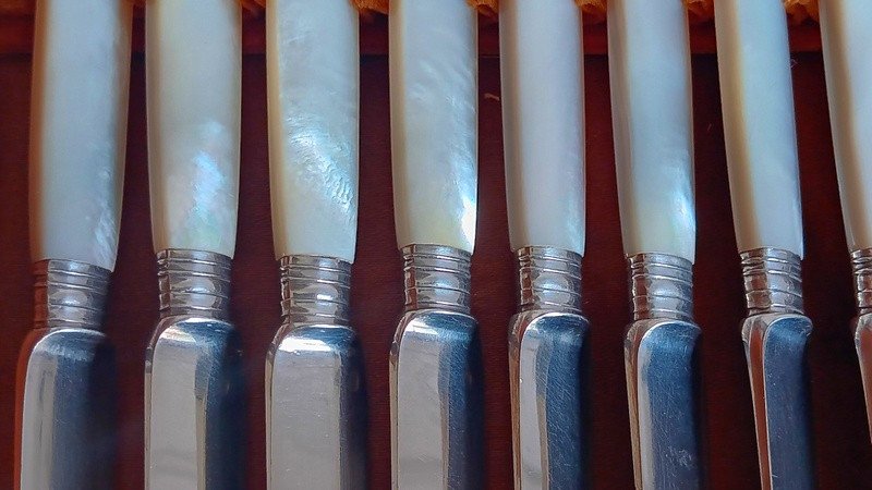 Alphonse Debain Goldsmith In Paris Suite Of 11 Fruit, Dessert, Dessert Knives Sterling Silver And Mother-of-pearl-photo-5
