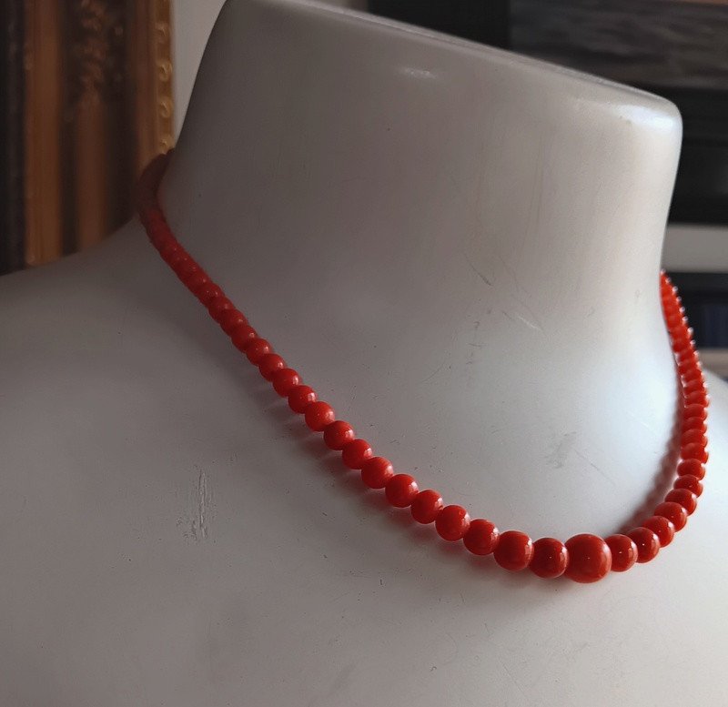 Old Necklace Of 105 Falling Natural Coral Beads -photo-2