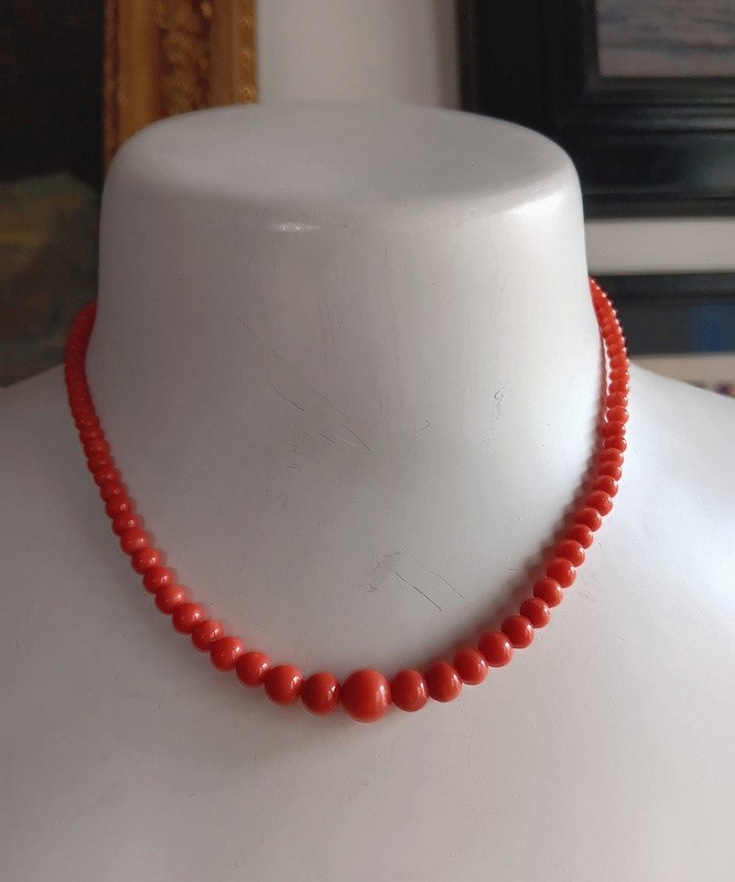 Old Necklace Of 105 Falling Natural Coral Beads 