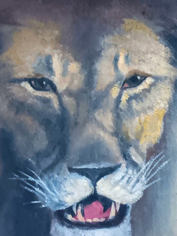 Magnificent Portrait Of Lion Oil On Hardboard Lone Oak Painting Art Deco Painting-photo-3