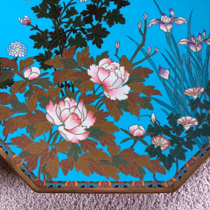 Superb Pair Of Cloisonné Enamel Plates, Silver, Japan, Meiji Period (1868-1912)-photo-4