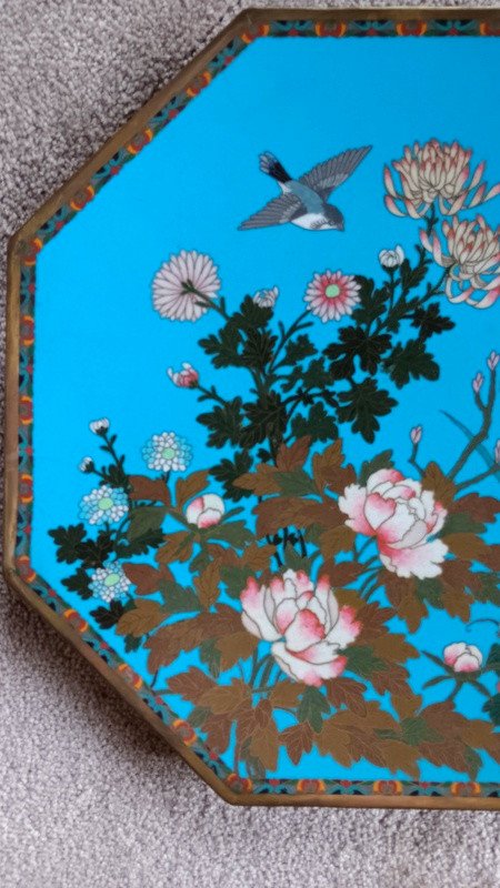 Superb Pair Of Cloisonné Enamel Plates, Silver, Japan, Meiji Period (1868-1912)-photo-3