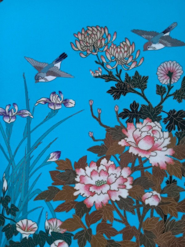 Superb Pair Of Cloisonné Enamel Plates, Silver, Japan, Meiji Period (1868-1912)-photo-5
