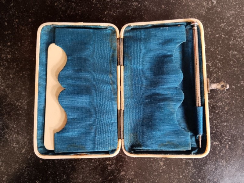 Carnet De Bal Card Holder Case In Ivory Silver And Silk Art Nouveau Deco 19th Century-photo-1