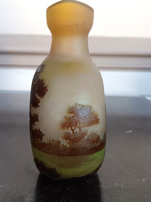 Emile Gallé Vase Gourde Au Paysage Lacustre Art Nouveau-photo-1
