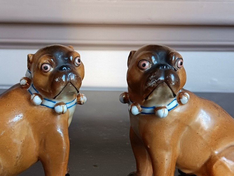 Paire De Chiens Carlins En Porcelaine De Saxe Pössneck Conta & Boehme-photo-4
