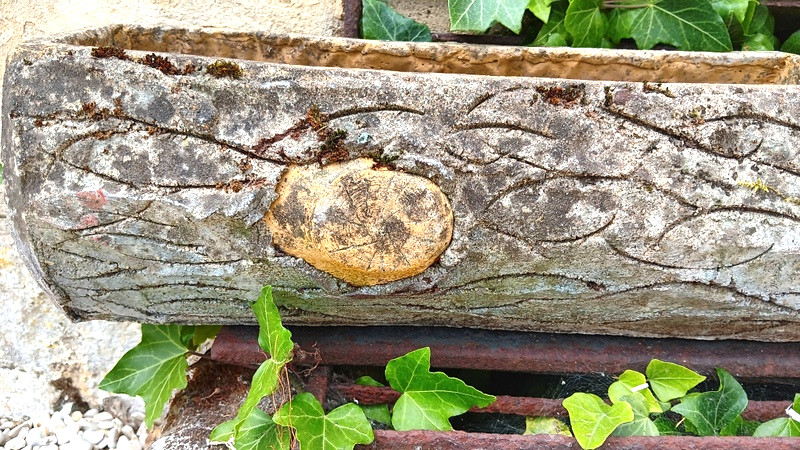 Paire de jardinières tronc d'arbre en ciment faux bois époque 1900 - 1920-photo-4