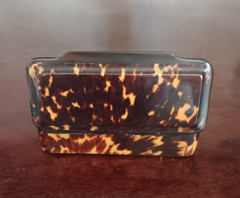Tabatière en écaille XIXème siècle-photo-2