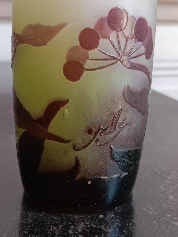 Gallé Art Nouveau Vase With Umbels-photo-4