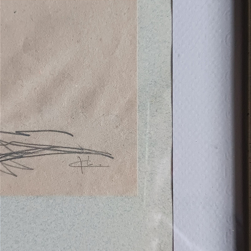 Jean Cluseau-lanauve (1914-1997) Collection Of Original Drawings Framed Under Glass-photo-4