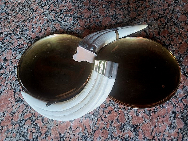  Vide poche coupe Double 29, 7 cm Art déco avec 2 Défenses dents De Phacochère-photo-2