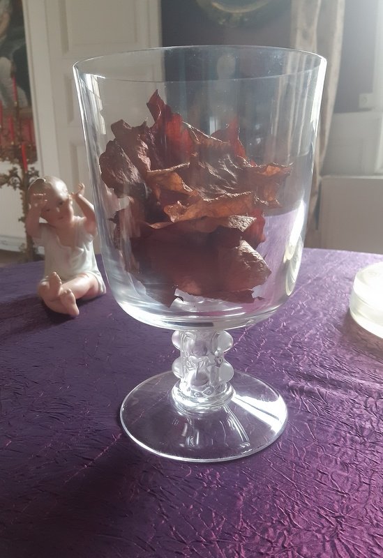 Lalique Coupe  sur pied  vase-photo-6