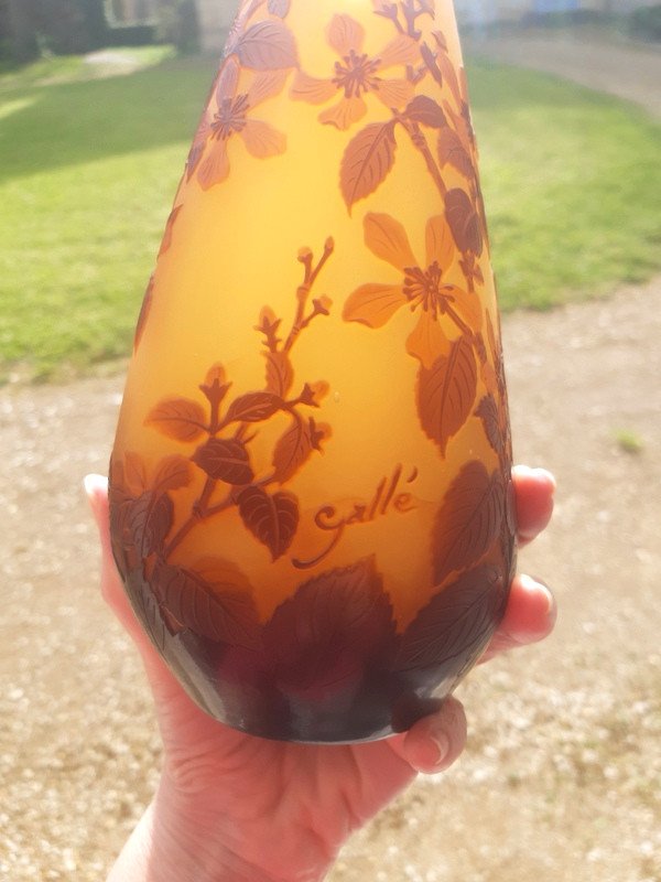 Gallé Art Nouveau Ranunculus Vase-photo-6