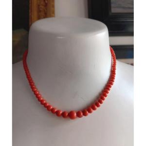 Ancien Collier De 105 Perles De Corail Naturel En Chute 