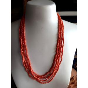 Very Long Old Long Necklace In Natural Coral Of 2.60 Meters