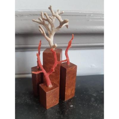 Set Of Branches Natural Red Coral Branch On An Amboyna Base