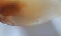 842561-alb-616fcb6205740.jpg