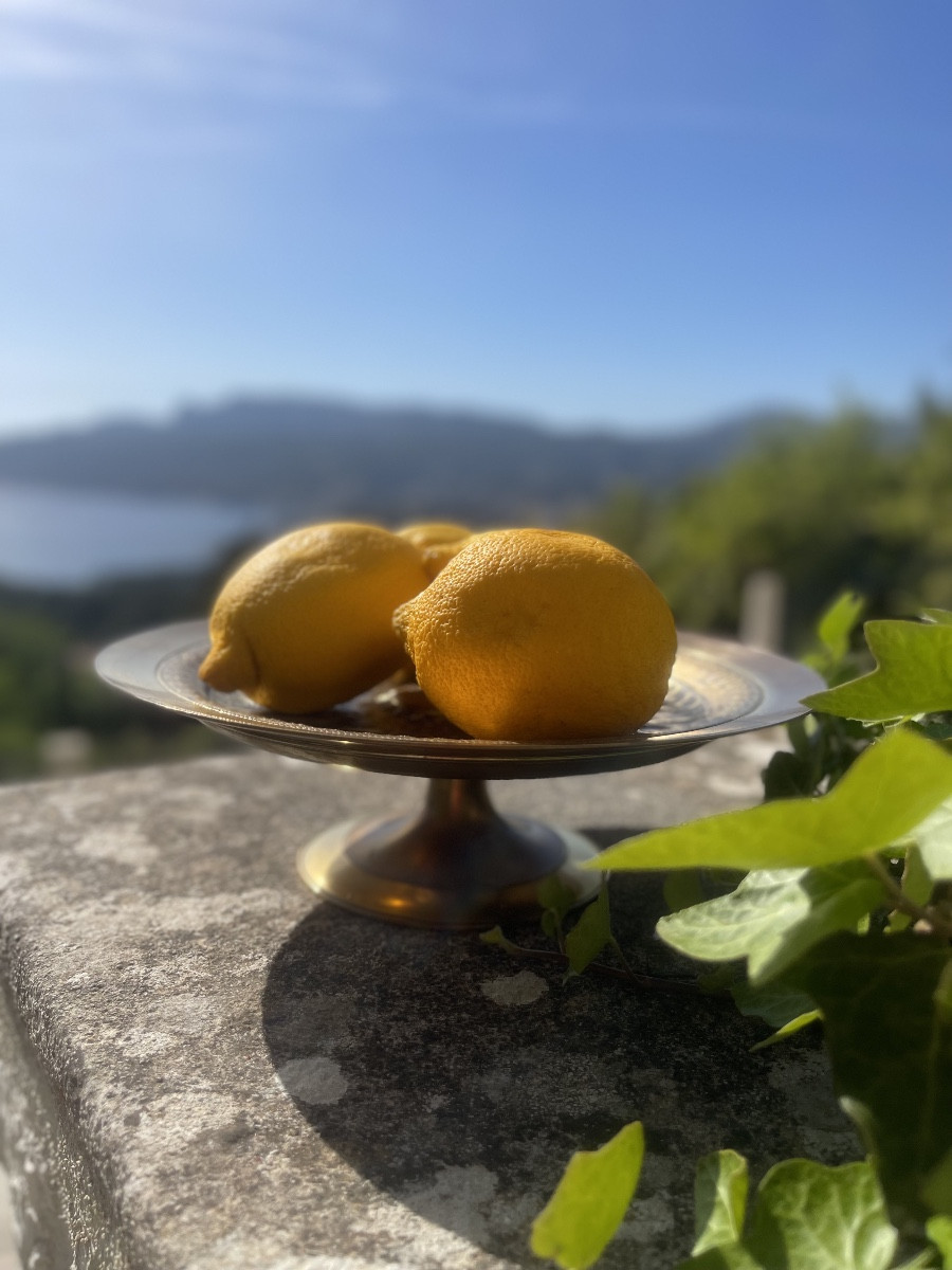 Coupe en bronze Barbedienne, décor allégorique antique. F. Levillain, datée 1879 , XIXe siècle