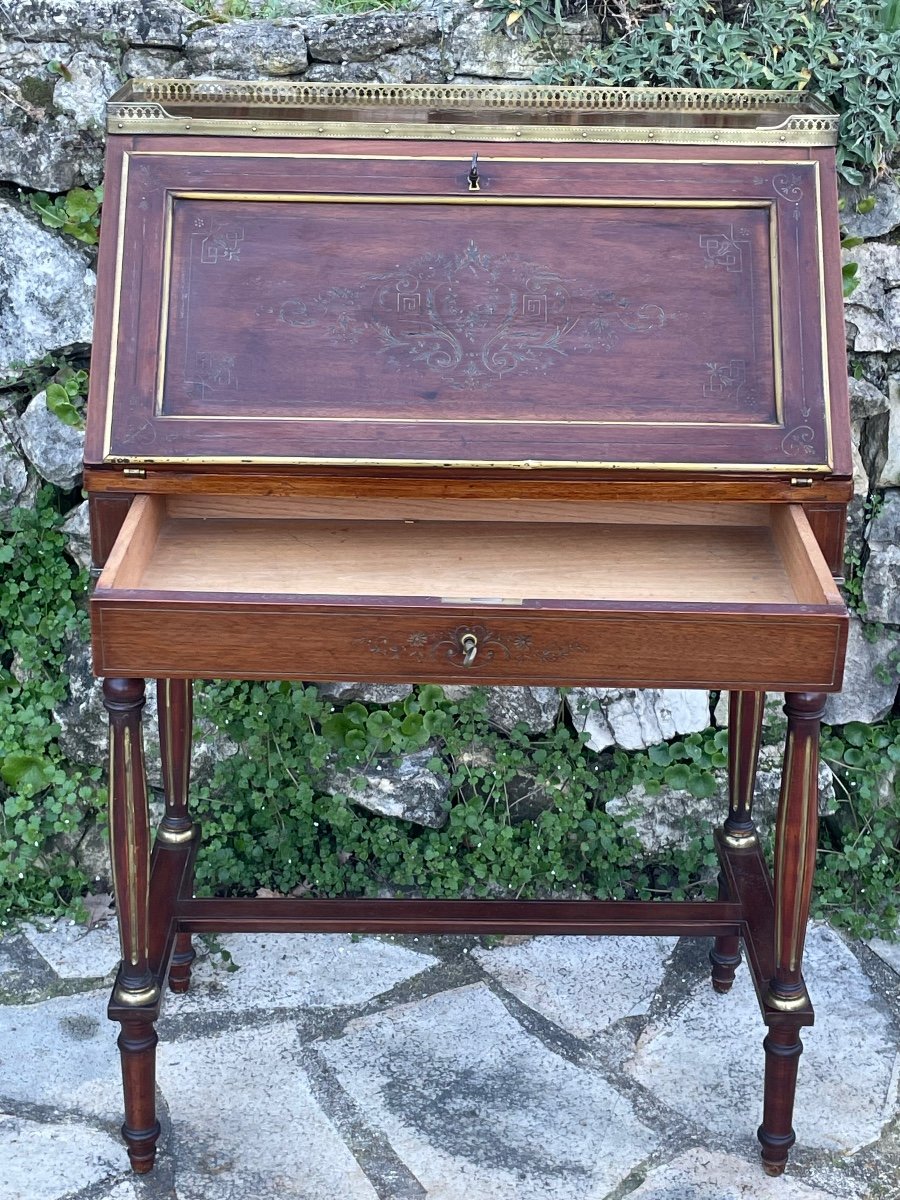 Lady's Secretary In Mahogany From Napoleon III Period 19th Century -photo-1