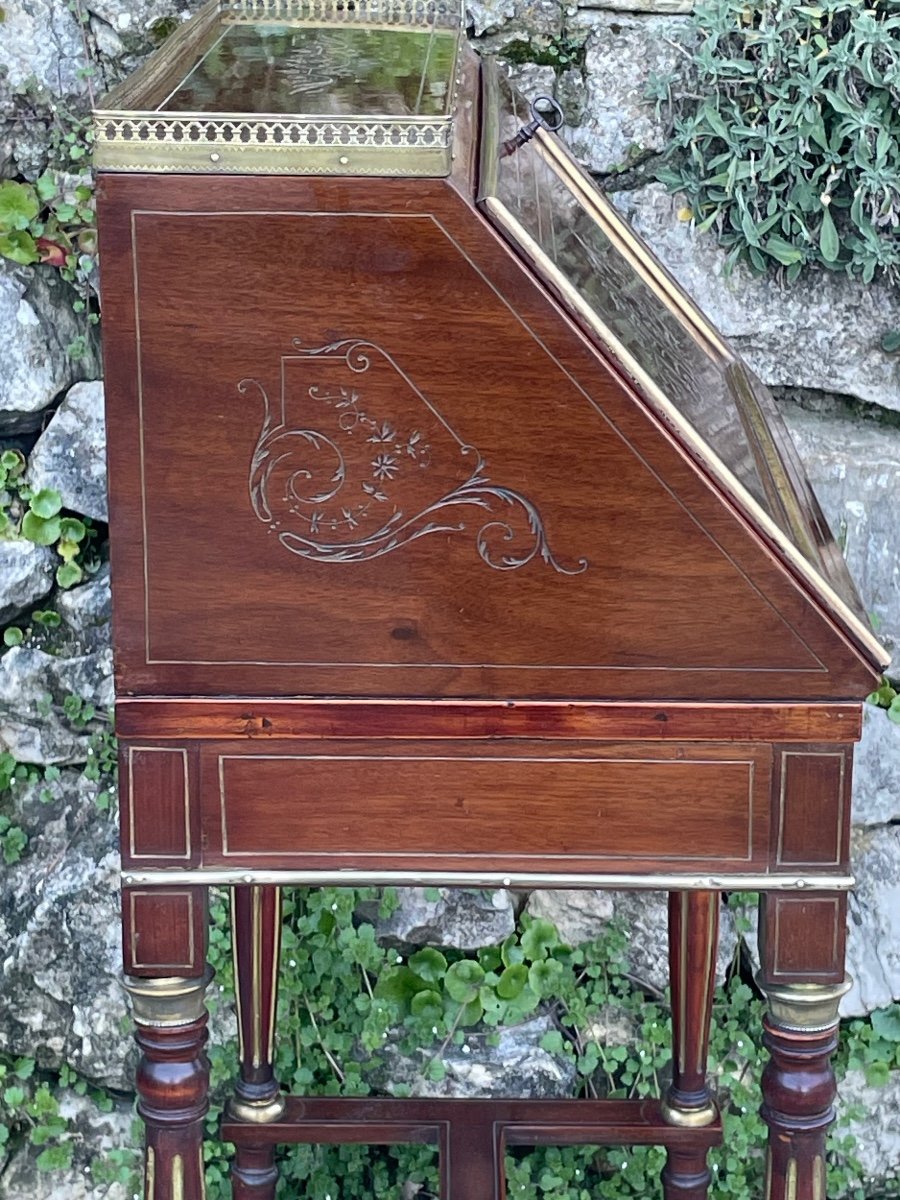 Lady's Secretary In Mahogany From Napoleon III Period 19th Century -photo-6