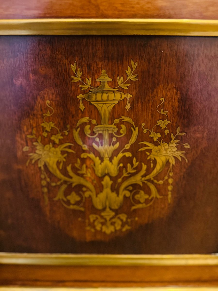 Napoleon III Library / Display Case Circa 1850.-photo-6