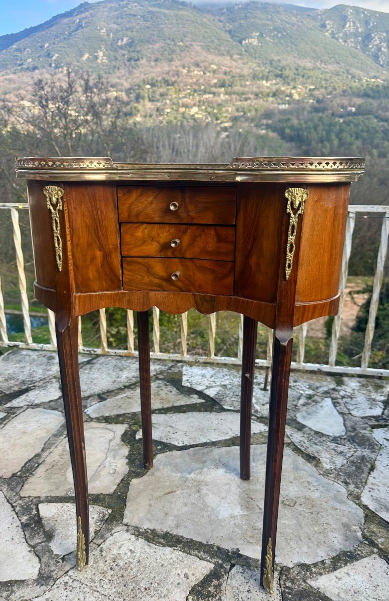 Pair Of Louis XV Style Kidney Bedside Tables, 19th Century -photo-4