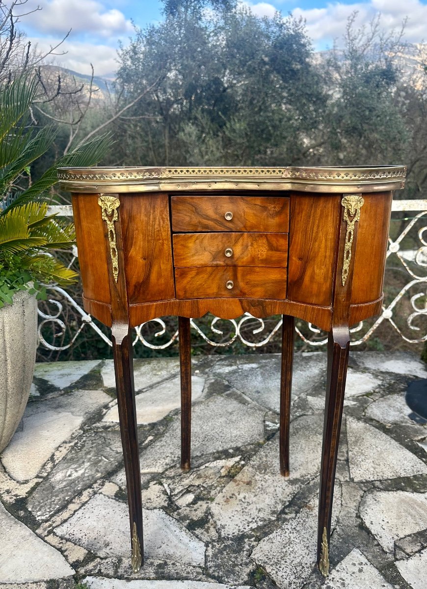 Pair Of Louis XV Style Kidney Bedside Tables, 19th Century -photo-5