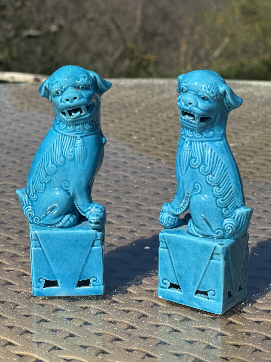 Pair Of Fô Dogs, In Turquoise Porcelain, 20th Century -photo-2