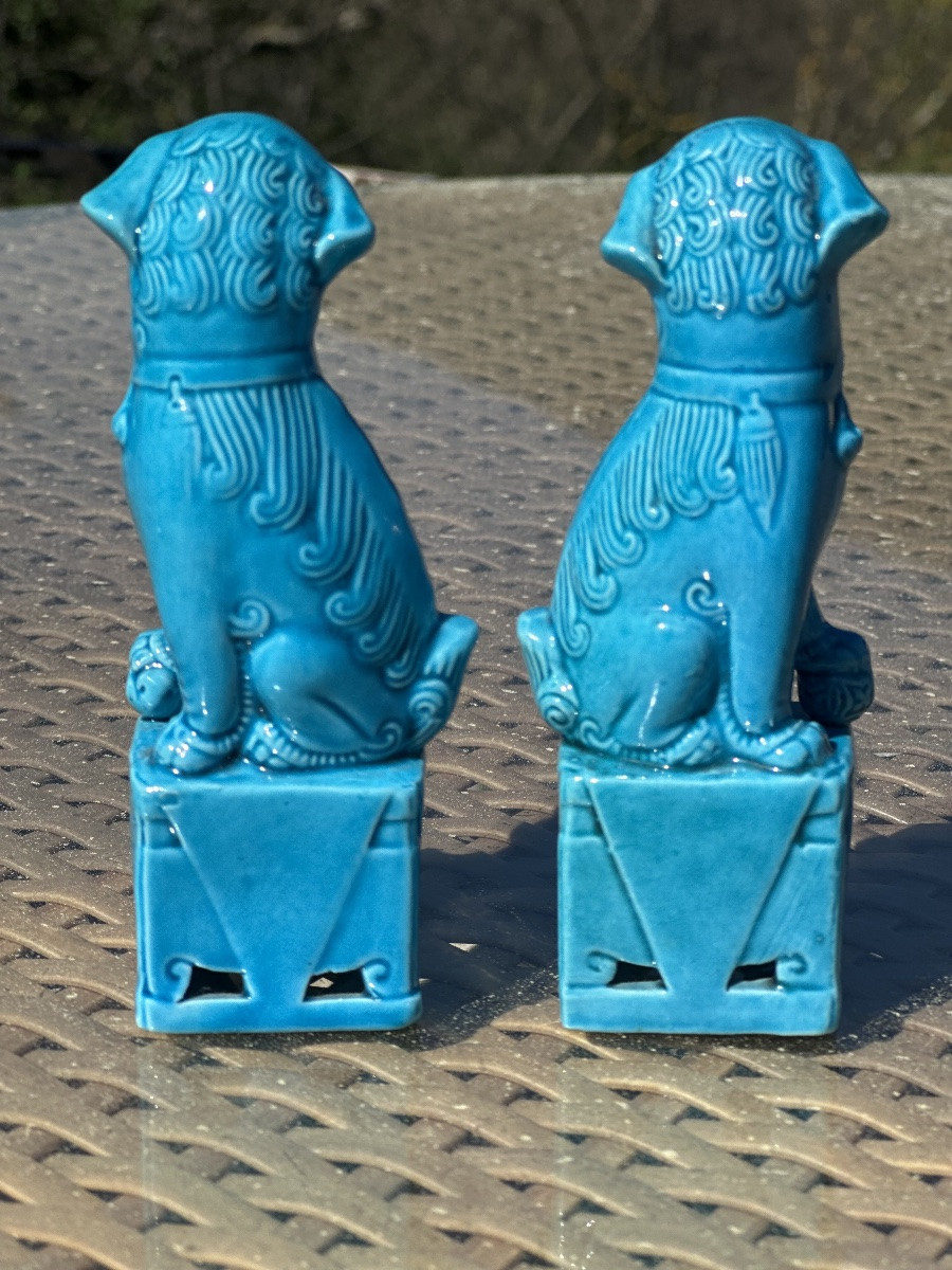 Pair Of Fô Dogs, In Turquoise Porcelain, 20th Century -photo-4