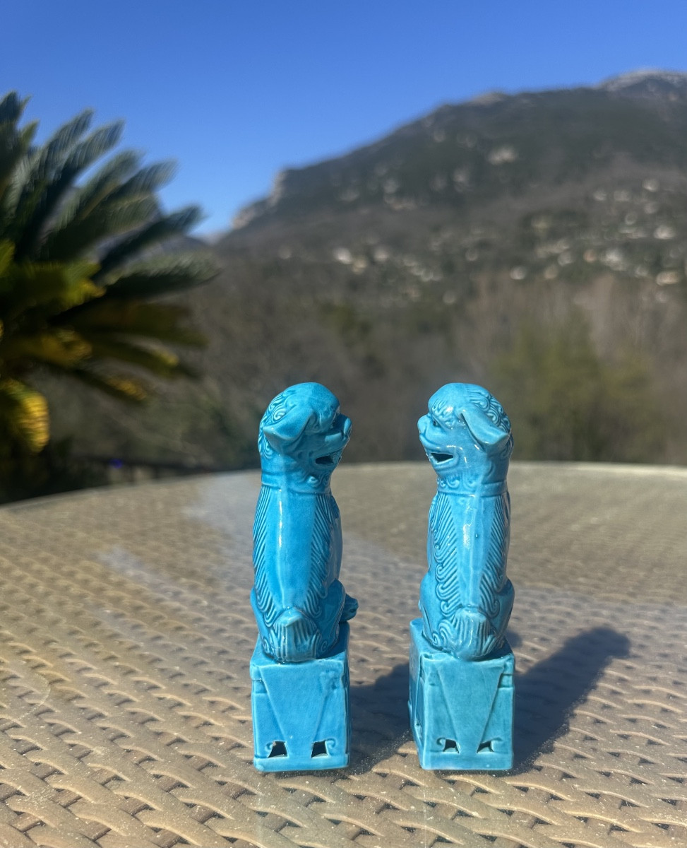 Pair Of Fô Dogs, In Turquoise Porcelain, 20th Century -photo-2