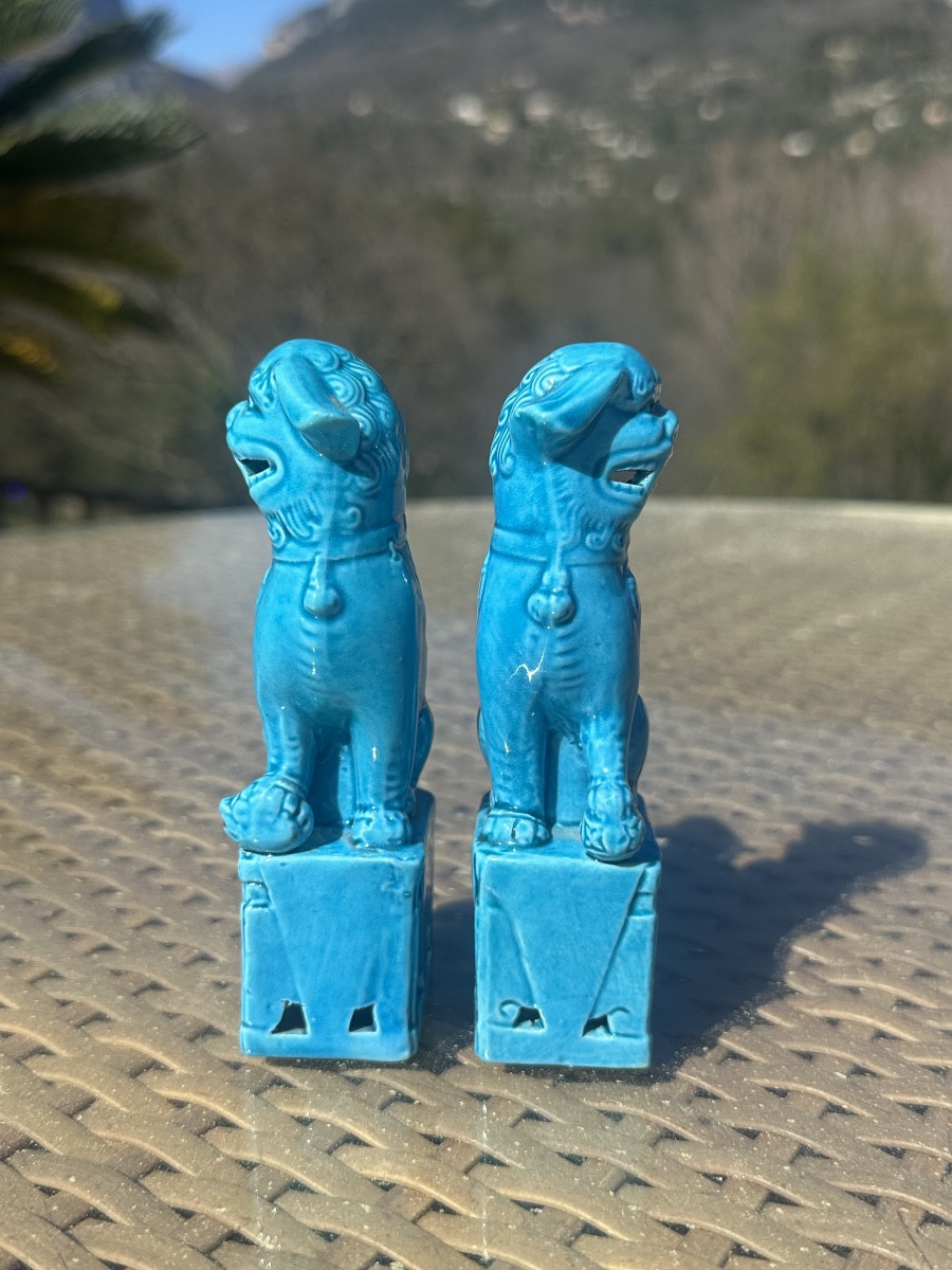 Pair Of Fô Dogs, In Turquoise Porcelain, 20th Century -photo-3