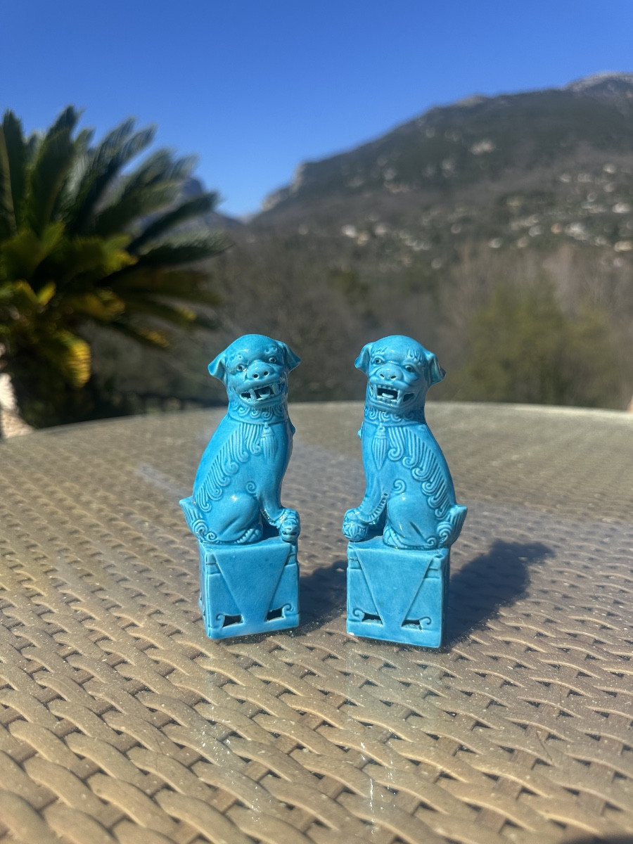 Pair Of Fô Dogs, In Turquoise Porcelain, 20th Century 