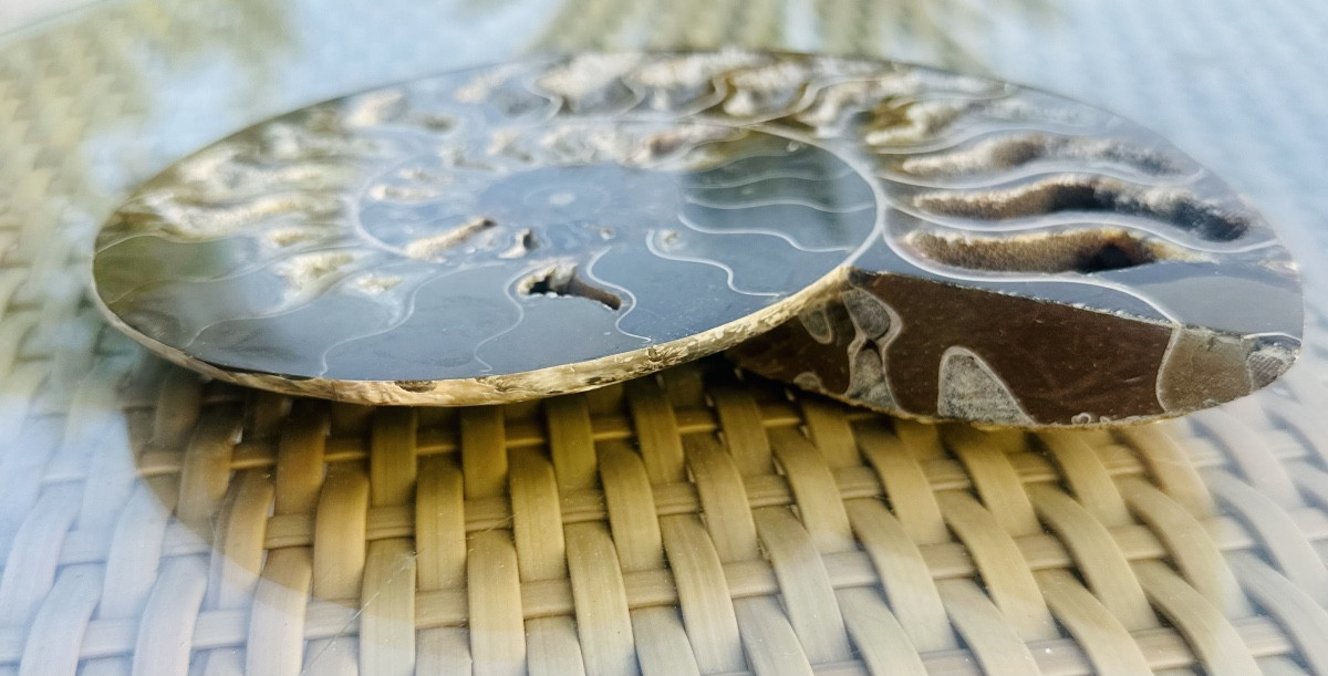Ammonite Fossil In Natural Stone.-photo-2
