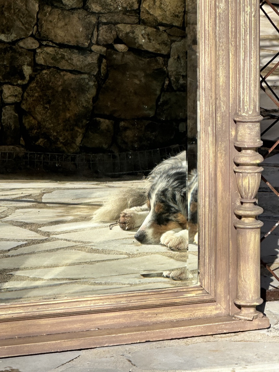 Imposant Miroir de cheminée en bois sculpté et peint Époque XIX eme siècle.-photo-4