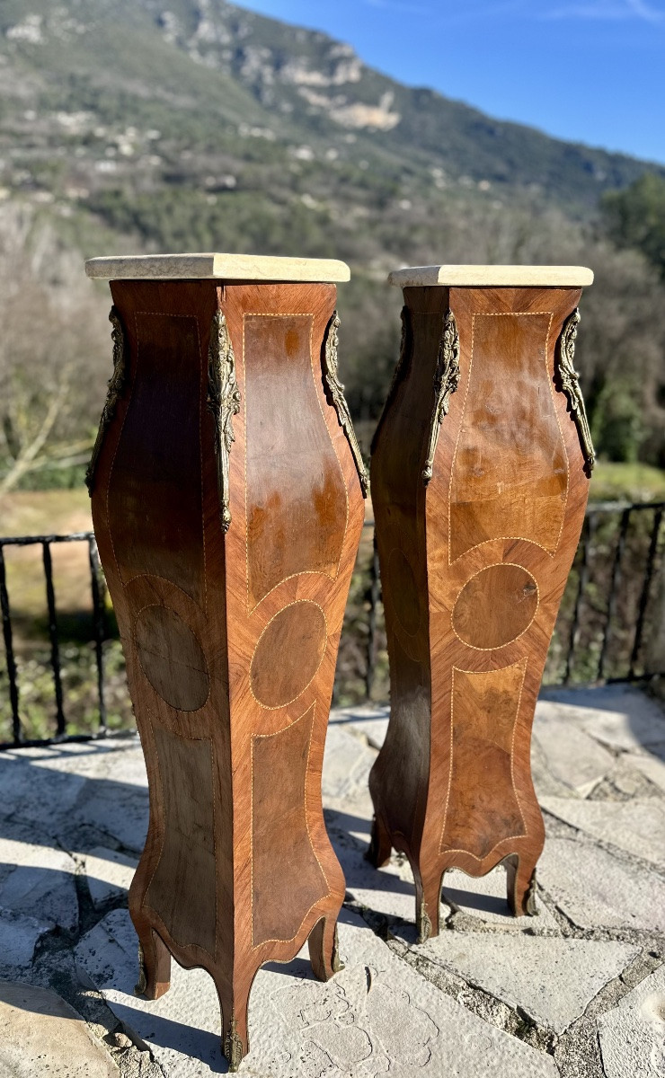 Important Pair Of "gates Or Columns" In Precious Wood Marquetry Circa 1900.-photo-3