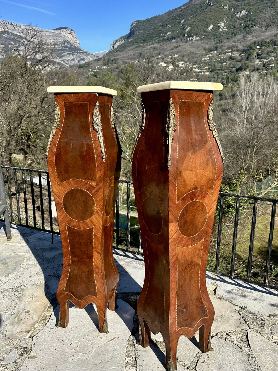 Important Pair Of "gates Or Columns" In Precious Wood Marquetry Circa 1900.-photo-1