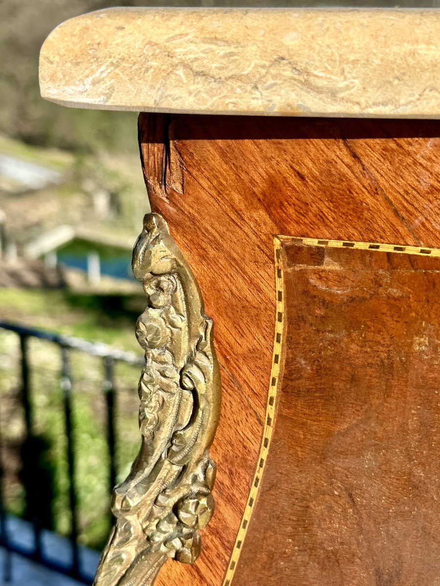 Important Pair Of "gates Or Columns" In Precious Wood Marquetry Circa 1900.-photo-3